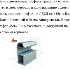 Шкаф-купе 1700 серии SILVER S4+S3Z+B2+PL1 (2 ящика+1 штанга) профиль «Серебро» | фото 6