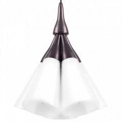 Подвесная люстра Lightstar Cone 757150 | фото 8